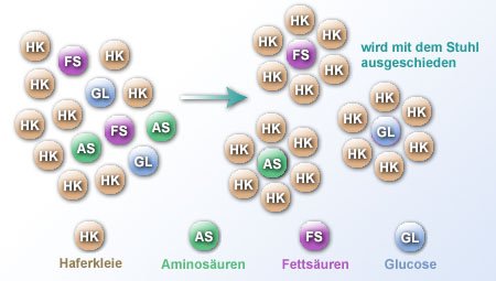 Die Wirkung im Körper